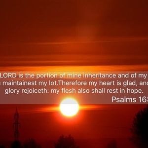 Meet your Posher, Lenora